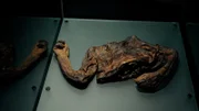 Old Croghan Man bleibt. (2023 SUMPFMENSCHEN STAFFEL 1 INC.)