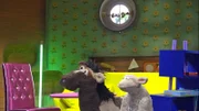 Die Möhre ist voller neuer Möbel. Doch ist jetzt wirklich alles schöner als vorher?