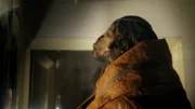 Die Leiche der Mumie La Doncella (Die Jungfrau). (2023 MOORLEICHEN STAFFEL EINS INKL.)