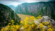 Es wird Sommer in Rumänien. Die Bergwiesen der Karpaten stehen in voller Blüte und der Fisch- und Insektenreichtum des ausgedehnten Donaudeltas bieten den Tieren Nahrung im Überfluss.