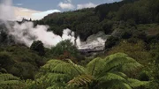 Rund um die thermalen Wasserbecken schließt sich Regenwald, dessen feuchtes Klima optimale Wachstumsbedingungen für riesige Farngewächse und Moose bietet.