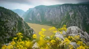 In Rumänien trifft die "wilde Donau" aufs Schwarze Meer. Der größte Fluss Rumäniens verbindet unterschiedliche Landschaften und Lebensräume.