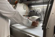 Zwischen zwei Elektroden an den Seitenwänden dieser speziellen Backform wird für 15 Sekunden elektrischer Strom durch den Brotteig geleitet.