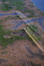 UC 123K planes flying over delta area to spray defoliant Agent Orange 20-mi SE of Saigon.  (Photo by Dick Swanson//Time Life Pictures/Getty Images)
