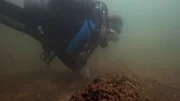 Alicia Johnson taucht in der Bucht von Alexandria