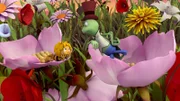 Flip erzählt Maja von der Mondblume.