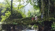 Eine Familie aus der Volksgruppe der Khasi ¸berquert in Meghalaya im Nordosten Indiens eine lebende Br¸cke, die aus den Wurzeln eines Feigenbaums angelegt wurde.