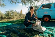 Ein Tisch in der Provence – Unverhoffte Töchter Dr. Véronique Gilbert hilft ihrer Familie bei der Olivenernte: Friederike Linke als Dr. Véro Gilbert