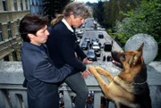 Frau Dr. Foltyn (Cornelia Froboess, M.) will sich von der Brücke stürzen. Kommissar Moser (Tobias Moretti, l.) und Rex kommen gerade noch rechtzeitig.