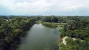 Drohnenbild, Donau-Au in der Lobau.