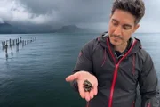 Einstein. Kollabierende Seen und Millionenschäden. Tobias Müller zeigt verschiedene Quagga-Muscheln.