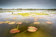 UNESCO-Weltkulturerbe und Lebensraum für seltene Pflanzen- und Tierarten: Das Donaudelta ist eine weitgehend unberührte Naturlandschaft.