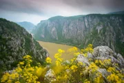 In Rumänien trifft die „wilde Donau“ aufs Schwarze Meer. Der größte Fluss Rumäniens verbindet unterschiedliche Landschaften und Lebensräume.