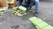 Bei der Begutachtung der Lieferung entdecken die Agenten Kokain, das in einer Lieferung von gefrorenen Avocados versteckt ist.