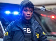 Special Agent Tiffany Wallace (Katherine Renee Turner)