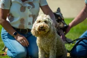 Pictured: Diane, Maggie, Cody, John / Dog Academy Front