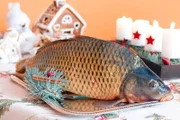 Detailaufnahme eines noch rohen Karpfens auf einen festlich geschmückten Weihnachtsttisch