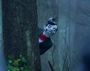 Was geht in den Wäldern Connecticut vor sich und was treibt dort sein Unwesen?