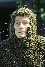 Hal (Bryan Cranston)