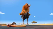 Grizzy (oben)