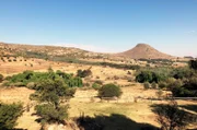 In Südafrika baute die Tierschutzorganisation „Vier Pfoten“ eine riesige Auffangstation für geschundene Raubkatzen.