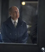 Raymond 'Red' Reddington (James Spader)
