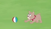Tyke