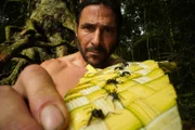 Hazen hält eine Ameisenarmbinde; ein altes Wai-Wai-Initiationsritual. (National Geographic/Tess Benjamin)