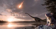 Nach dem Einschlag des Asteroiden vor 66 Millionen Jahren entsteht eine neue Welt. Dominiert wird sie von Säugetieren.
