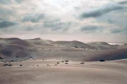 Unter der Nullarbor-Wüste verbirgt sich ein System aus Höhlen und Gängen mit enormen Wasservorräten.