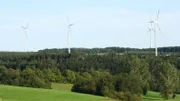 Windkraft ist das Symbol der Energiewende: Klimaschutz dank erneuerbarer Energie. Aber Widerstände sind nach wie vor groß bei Anwohnern und Naturschützern. Sven Oswald sucht nach Lösungen: Wie können Windräder leiser für Menschen und ungefährlicher für Tiere werden? Wo finden sich neue Standorte für Anlagen? Wann profitieren die Kommunen von den Gewinnen der Windkraftbetreiber? Foto: Waldgebiet mit mehreren Windkraftanlagen.