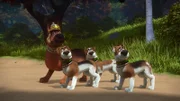 Zerberus und die Beagles suchen nach den Freundenn  +++