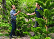 Weihnachten steht vor der Tür und während Steve und Danny einen Baum dafür kaufen möchten, wird auf dem Simulationsgelände für Weltraumforschung eine Leiche gefunden ...