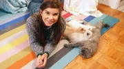 Anna bei den Katzen. Britisch Kurzhaarkatzen brauchen ihre Mama die ersten neun Wochen.