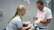 Dr. Tobias Neuberger versorgt die Wunden des Kätzchens, das nach einer Abstimmung auf Facebook jetzt Hope heißt.