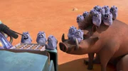 Warzenschwein und die Lemminge