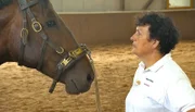 Isabelle Banek versucht Hengst Victor zu lesen.