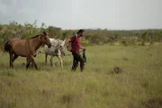 Moderator Hazen Audel führt zwei Pferde durch die Savanne. (National Geographic/Tess Benjamin)