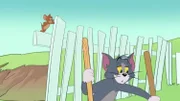 Jerry und Tom