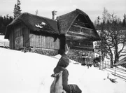 Peter (Chlodwig Haslebner)