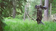 Im 3D-Tarnanzug geht Tierfilmer Sebastian Koerner auf Wolfspirsch.