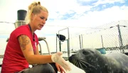Jenny Ann Byl kommuniziert mit einer Kombination aus Handzeichen und Sprache mit ihren Robben.