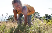 Claire Chastan erntet wilden Lavendel in der provencalischen Drome.