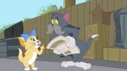 v.li.: Toodles, Tom