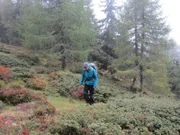 Tamara besteigt den Mirnock.