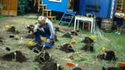 Mit einer besonderen Alarmanlage möchte Peter Lustig den Maulwurf in seinem Garten fangen.