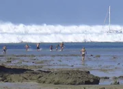 In Panik fliehen die Menschen vor den heranrasenden Flutwellen am Strand von Krabi, Thailand.