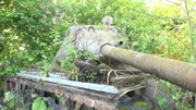 Ein verlassener Panzer im Gebüsch.