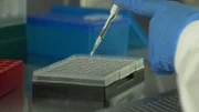 Die Auswertung der Speichelprobe ergibt einen Treffer.