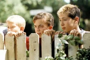 Als sie sehen, wo ihr Ball gelandet ist, würden sie den Schlag am liebsten wieder rückgängig machen: Reese (Justin Berfield, r.), Malcolm (Frankie Muniz, M.) und Dewey (Erik Per Sullivan, l.) ...